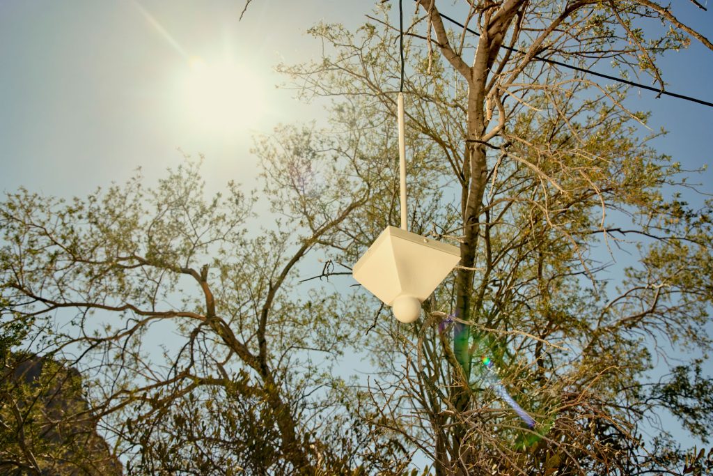 A triangular shaped pendant light fixture hanging from a tree