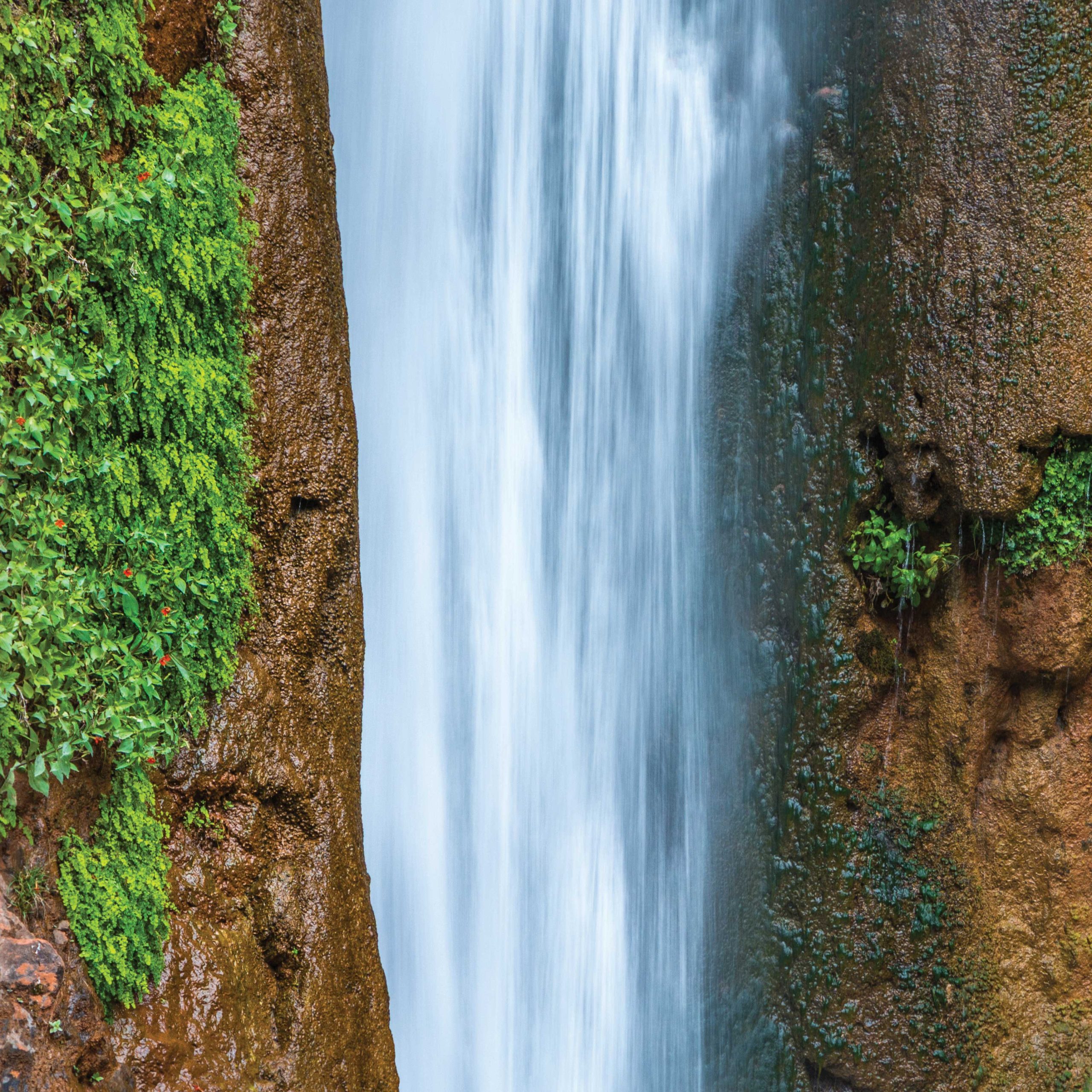 Photography by Jim Dublinski