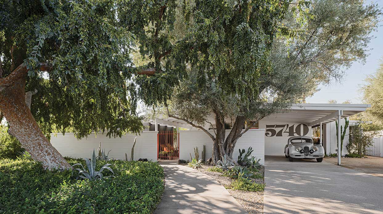 Bob and Helen Winkel purchased their 1953 home in Phoenix’s desirable Marlen Grove neighborhood in 1980. The house, which was designed by Ralph Haver and features a south-facing yard and large walled courtyard, had been owned by a graphic designer who added the large street numbers to the facade. The couple hired architect Wendell Burnette to update the home, which had remained relatively untouched since it was built. His thoughtful modernizations and addition complement Haver’s original vision and do not affect the structure’s midcentury curb appeal. Bob bought the silver Jaguar, also from 1953, as a high school graduation gift to himself.